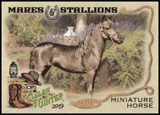 MS-8 Miniature Horse
